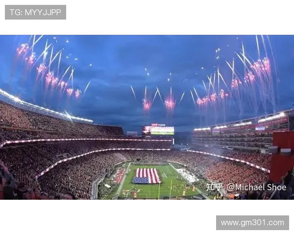 纽约大都会人寿体育场举办世界杯决赛实录